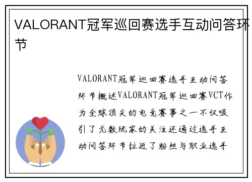 VALORANT冠军巡回赛选手互动问答环节